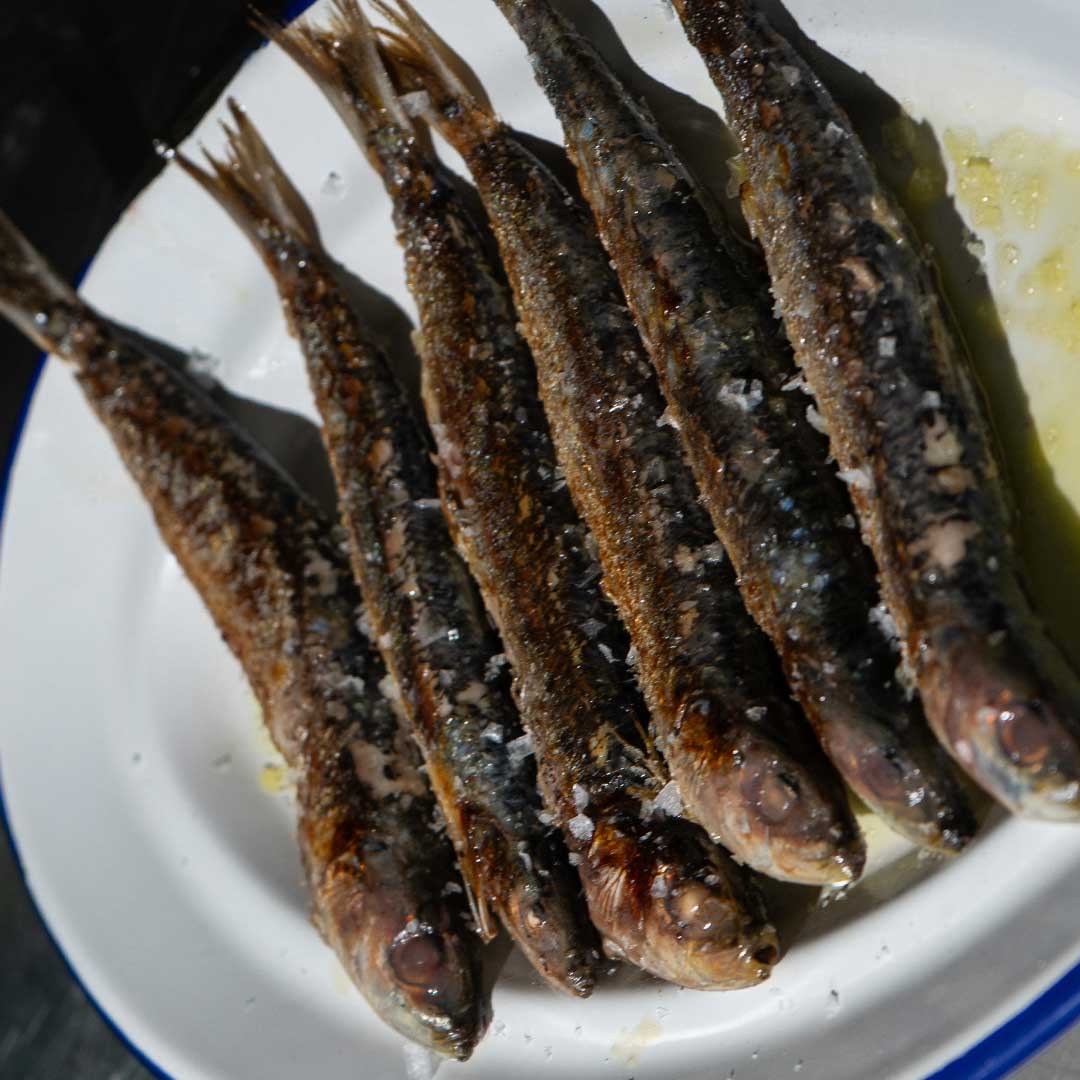 sardinas